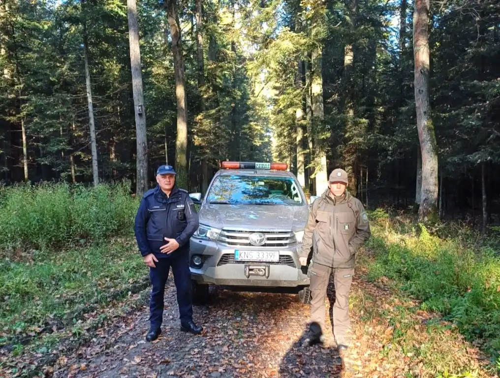 Sądeccy Policjanci i Straż Leśna razem przeciw kradzieży stroiszu
