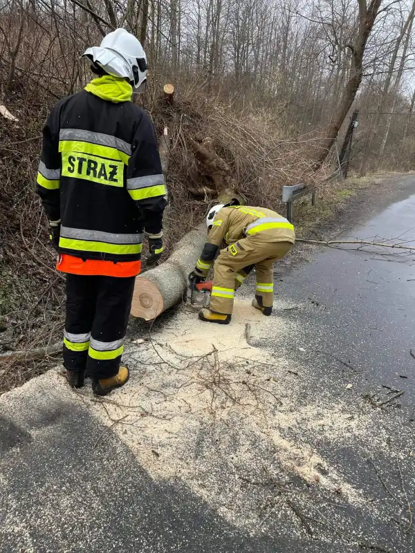 Pracowity weekend sądeckich strażaków. Gasili pożary i usuwali skutki wichury