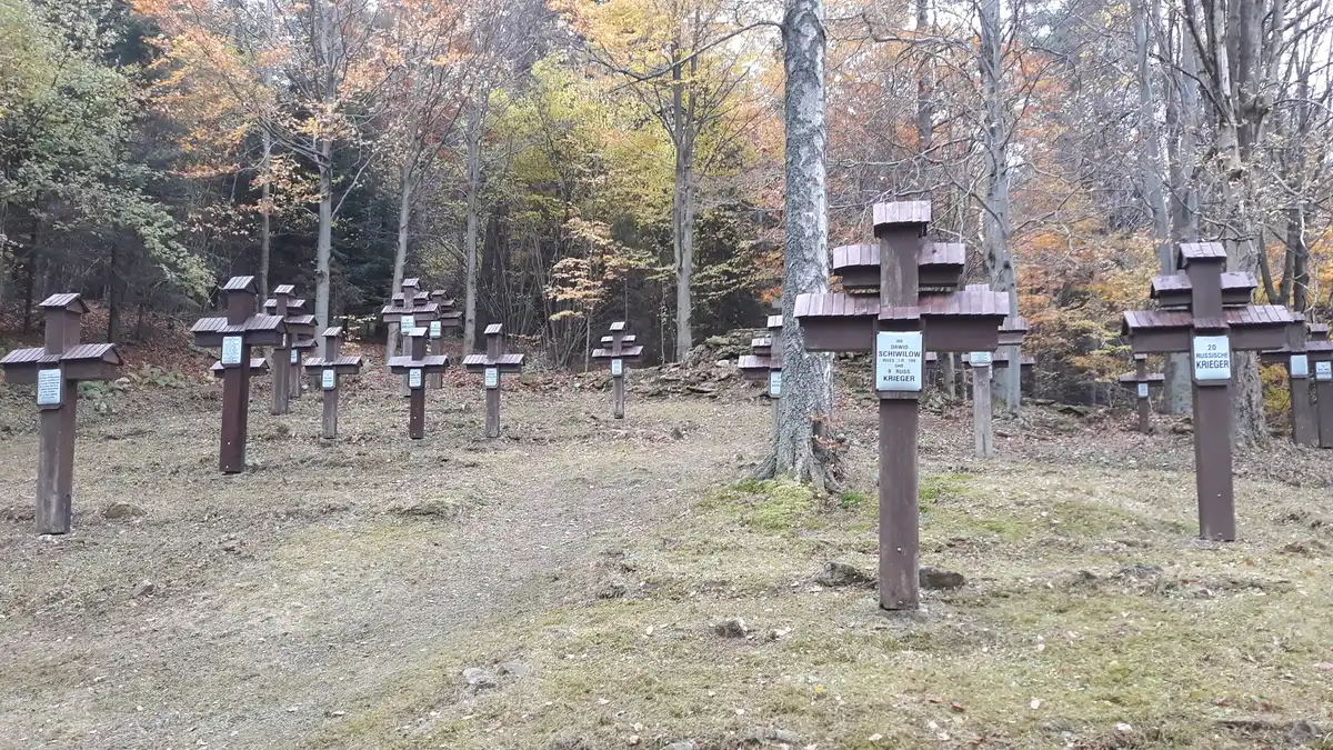 Gorliccy funkcjonariusze posprzątali cmentarz z okresu I wojny światowej