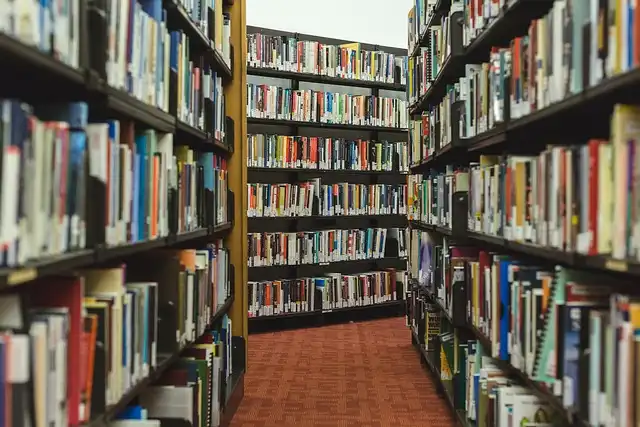 Gmina Łukowica inwestuje w edukację. Nowe książki i wyposażenie bibliotek