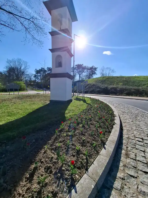 Wiosna w Starym Sączu. Miasto rozkwita
