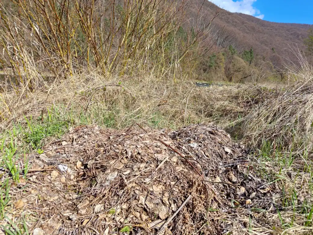 Nie wyrzucaj śmieci nad Poprad! Gmina Rytro apeluje do mieszkańców
