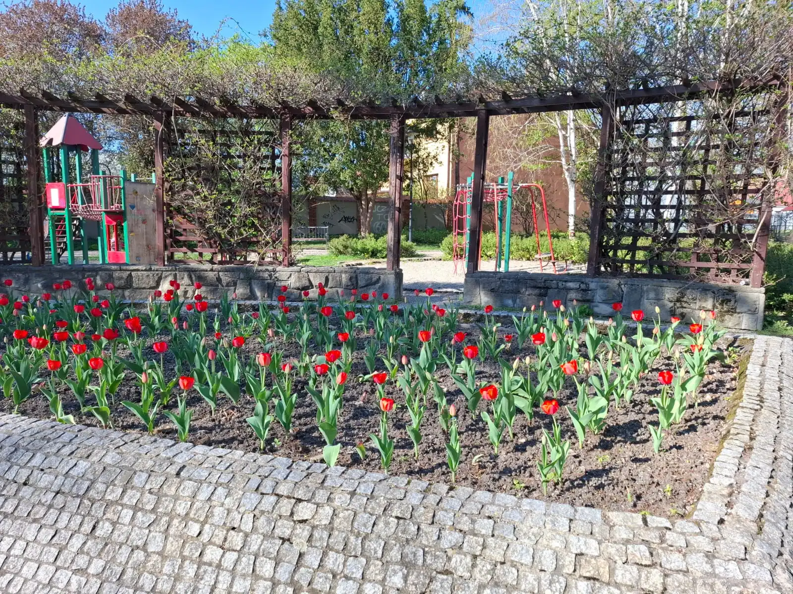 Wiosna w Starym Sączu. Miasto rozkwita