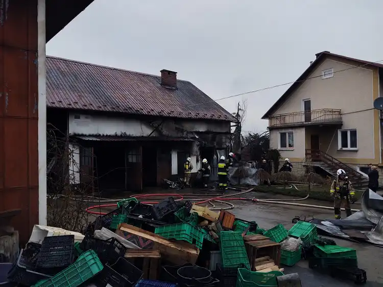 Pożar budynku gospodarczego w Tęgoborzy. Zagrożony rozprzestrzenienem ognia był dom