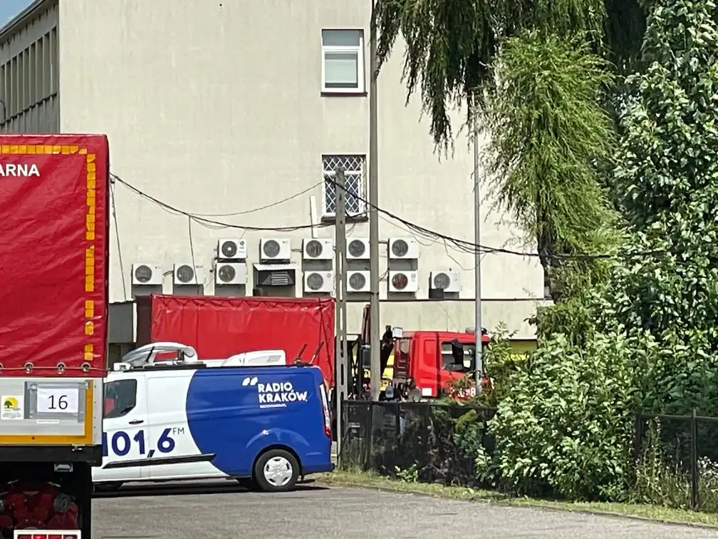 Dwóch strażaków z KM PSP Nowy Sącz wyjechało do Grecji. Pomogą gasić pożary