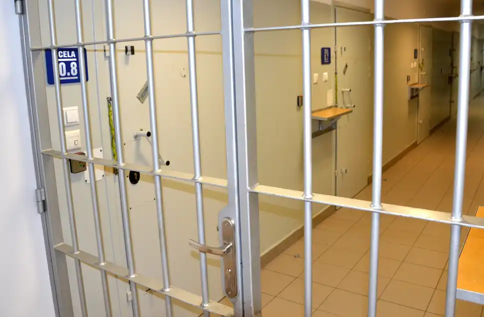 51-latek podpalił garaż. Wcześniej groził domownikom