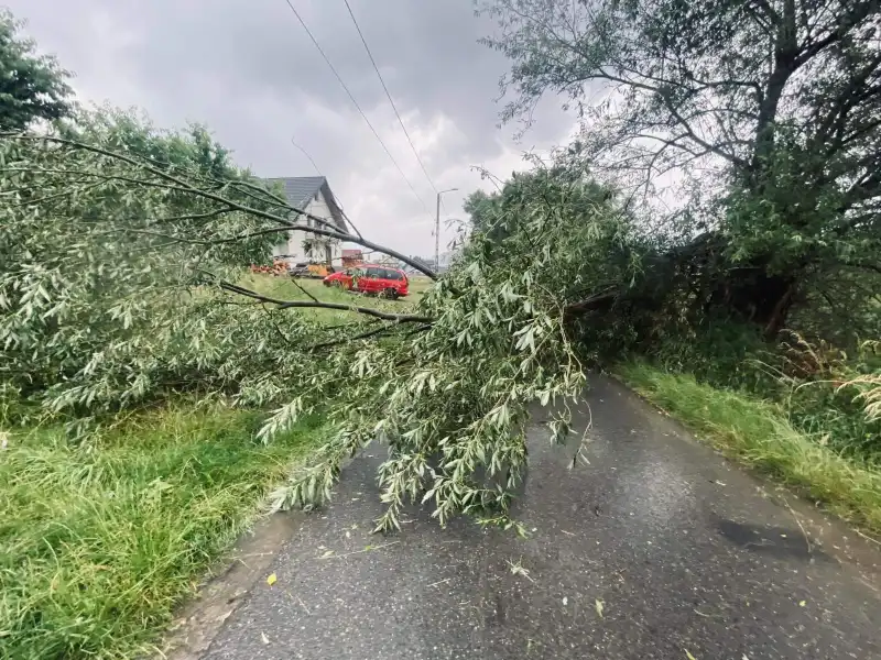 Seria interwencji strażackich w Grybowie