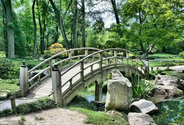 Wapienne w Sękowej. Ponad 8 mln zł na park uzdrowiskowy