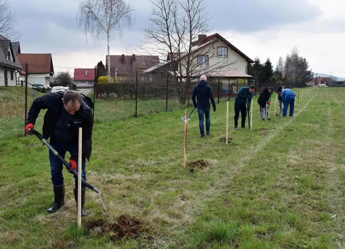 Dzień Ziemi: Na terenie Zakładu Uzdatniania Wody w Świniarsku posadzono 350 sadzonek drzew