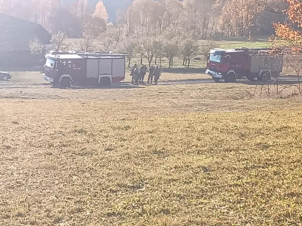 Pożar quada w Młyńczyskach. Szybka interwencja OSP uratowała las