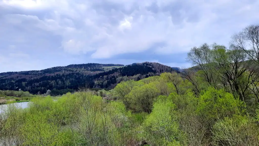 Rezerwując pobyt na majówkę uważaj na oszustów