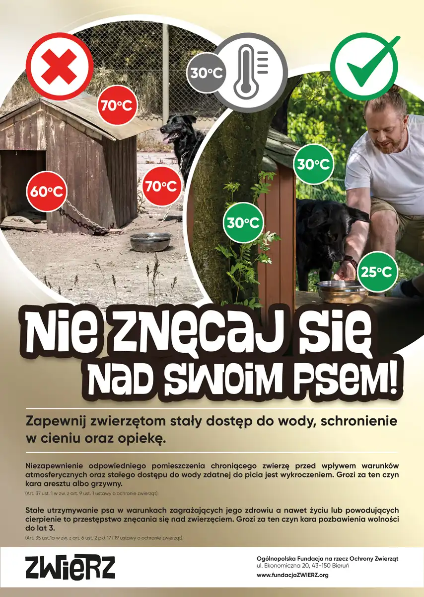 Zbliża się kolejna fala upałów, pamiętajmy o zwierzętach