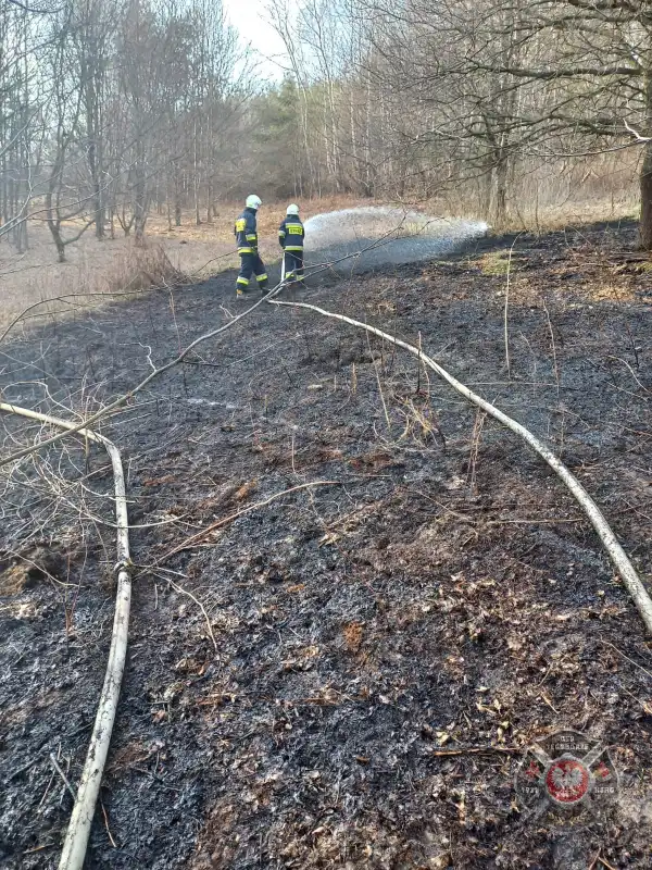 Płoną suche trawy na Sądecczyźnie