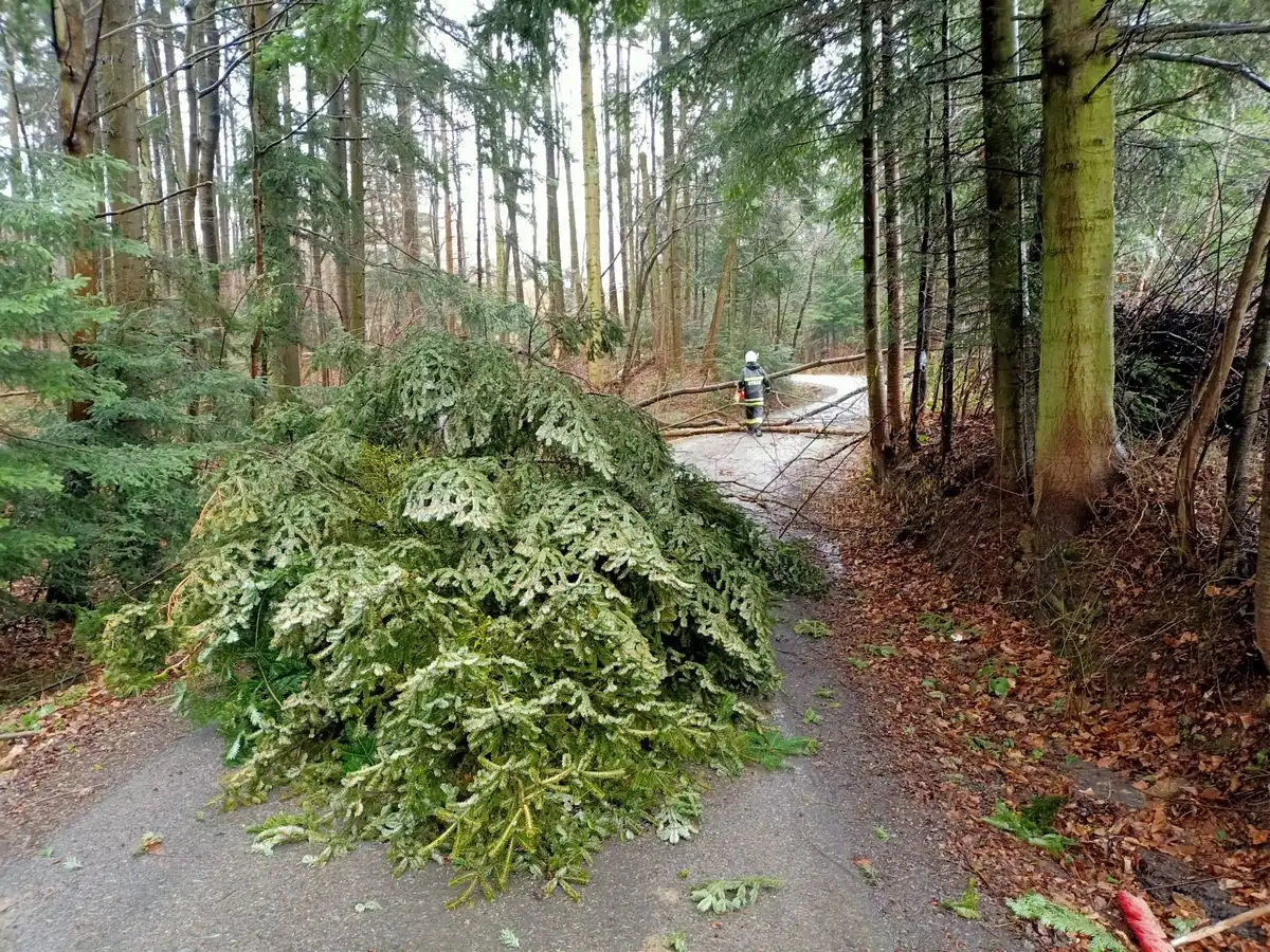 Wichura na Sądecczyźnie. Kilkadziesiąt interwencji strażaków