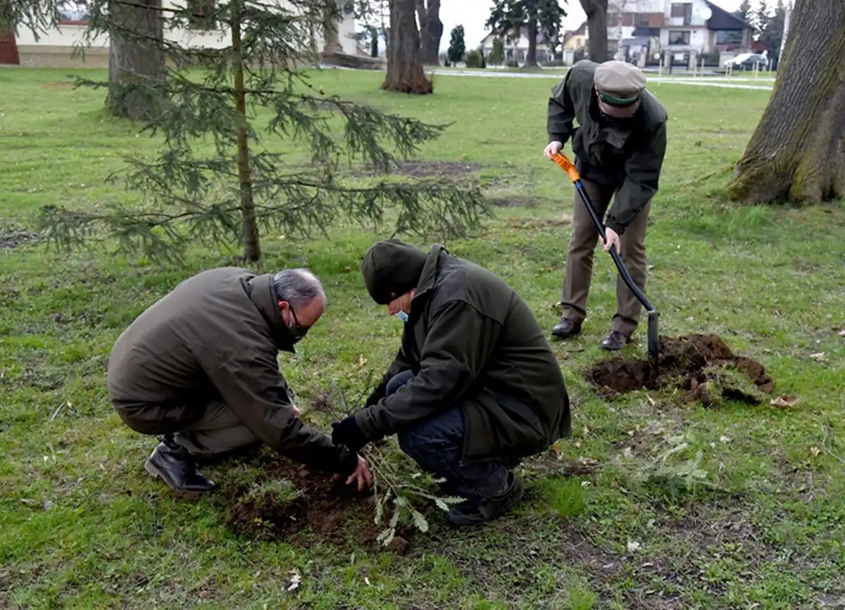 Dzień Ziemi: Na terenie Zakładu Uzdatniania Wody w Świniarsku posadzono 350 sadzonek drzew