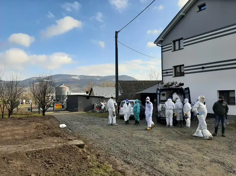 Strażacy pomagali przy likwidacji ogniska ptasiej grypy w miejscowości Krasne Potockie