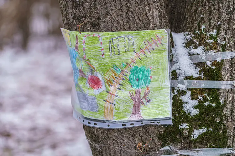 Mieszkańcy osiedla Nawojowska walczą o park. Nie chcą wycinki ponad stu drzew