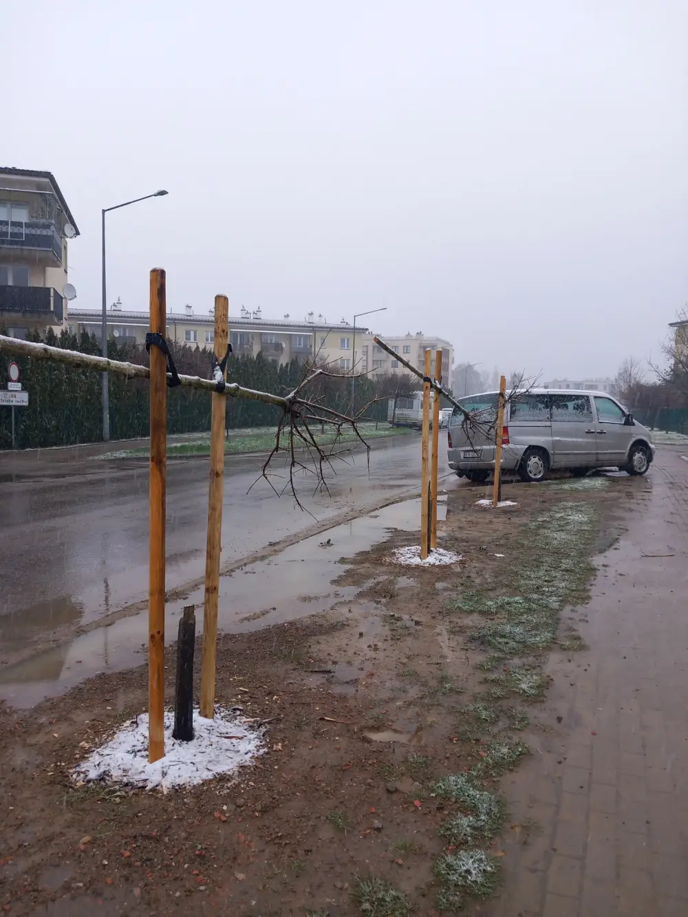 Akt wandalizmu przy ul. 29 Listopada. Zdewastowano miejskie nasadzenia