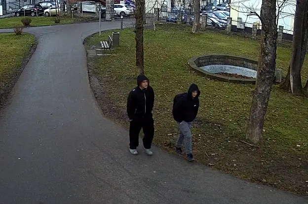 Graffiti i zniszczenia w parku miejskim w Limanowej. Mundurowi proszą o pomoc w ujęciu sprawców