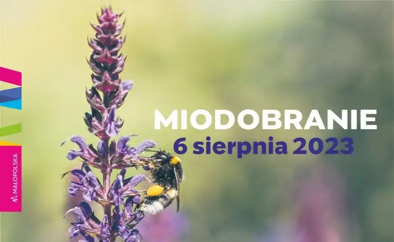 Małopolska: Wydarzenia kulturalne na weekend 3 - 6 sierpnia