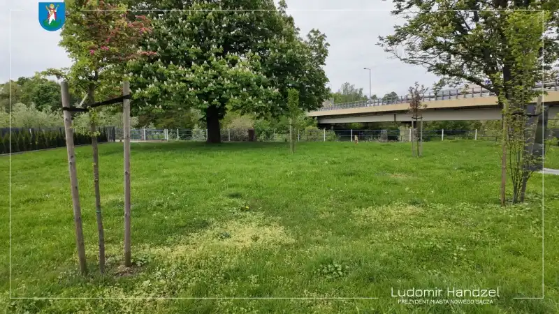 Nowy Sącz zyska kolejny park kieszonkowy. Zielona metamorfoza skweru im. dr J. Masiora