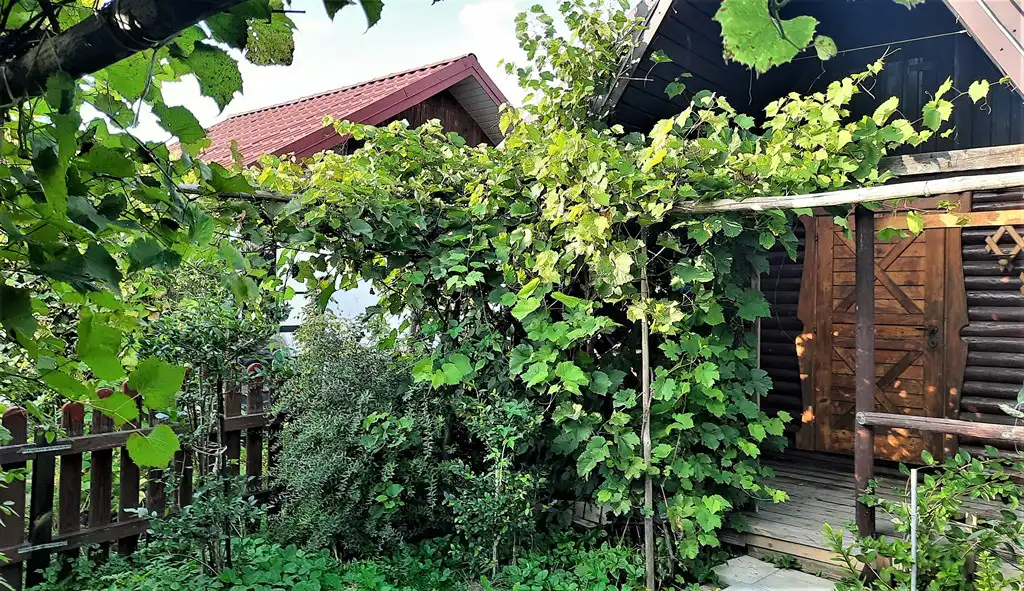 Krynica-Zdrój: Urządzili sobie libację alkoholową w cudzym domku letniskowym