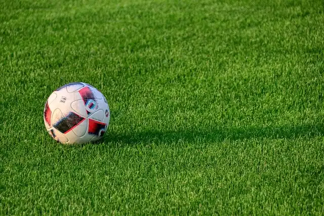 Sportowa rewolucja w Rożnowicach. Powstaną dwa nowe boiska