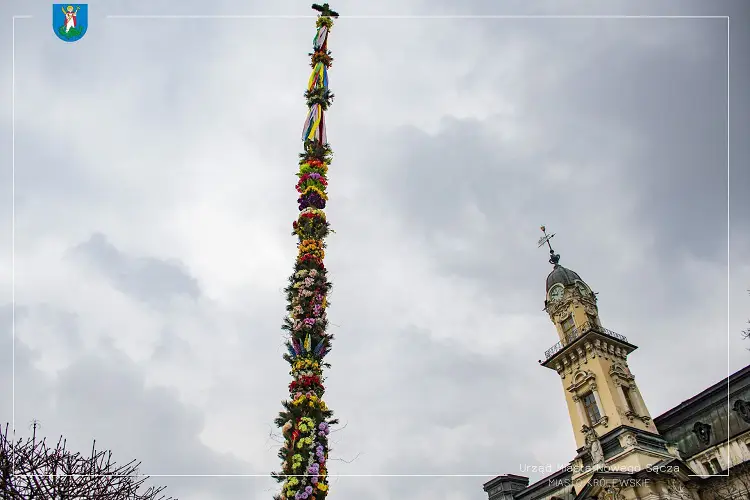 Na nowosądeckim rynku stanęła 24-metrowa palma wielkanocna