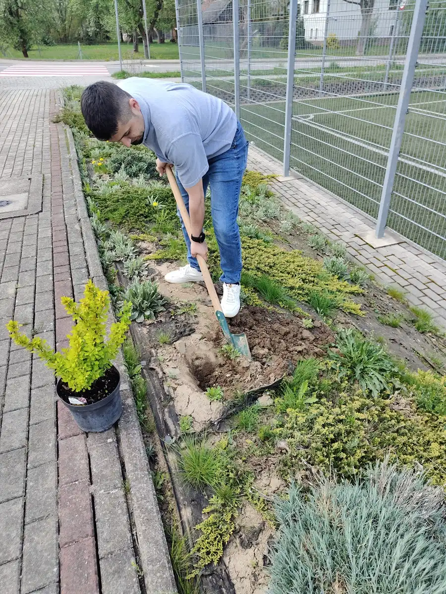 Krzewy dla ziemi. Uczniowie Krygu w ekologicznej akcji