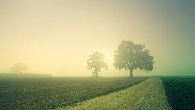 Uwaga na gęste mgły i deszcz ze śniegiem. Na ulicach i chodnikach będzie ślisko