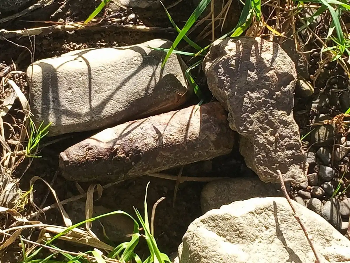 Niebezpieczne znalezisko nad Dunajcem
