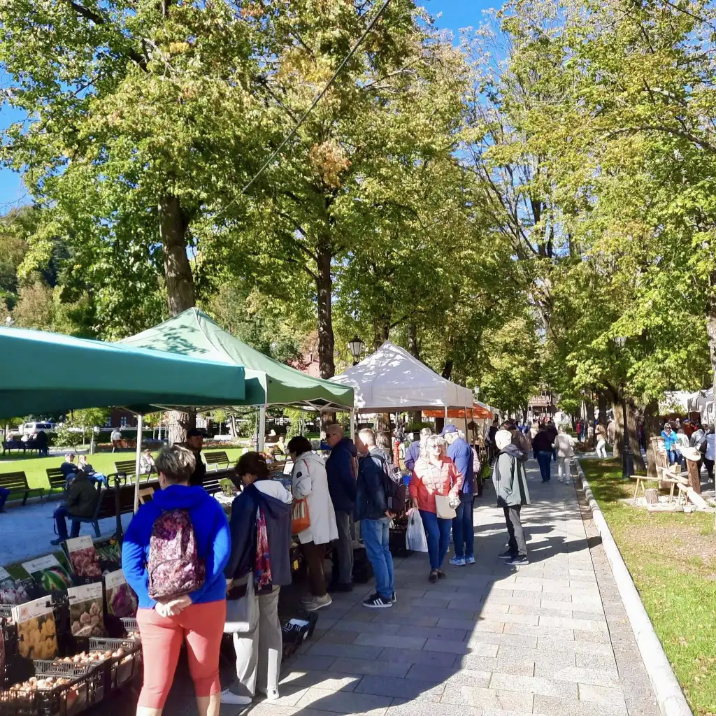 Święto Rydza po raz pierwszy w Krynicy-Zdroju. Wielki sukces 18. edycji