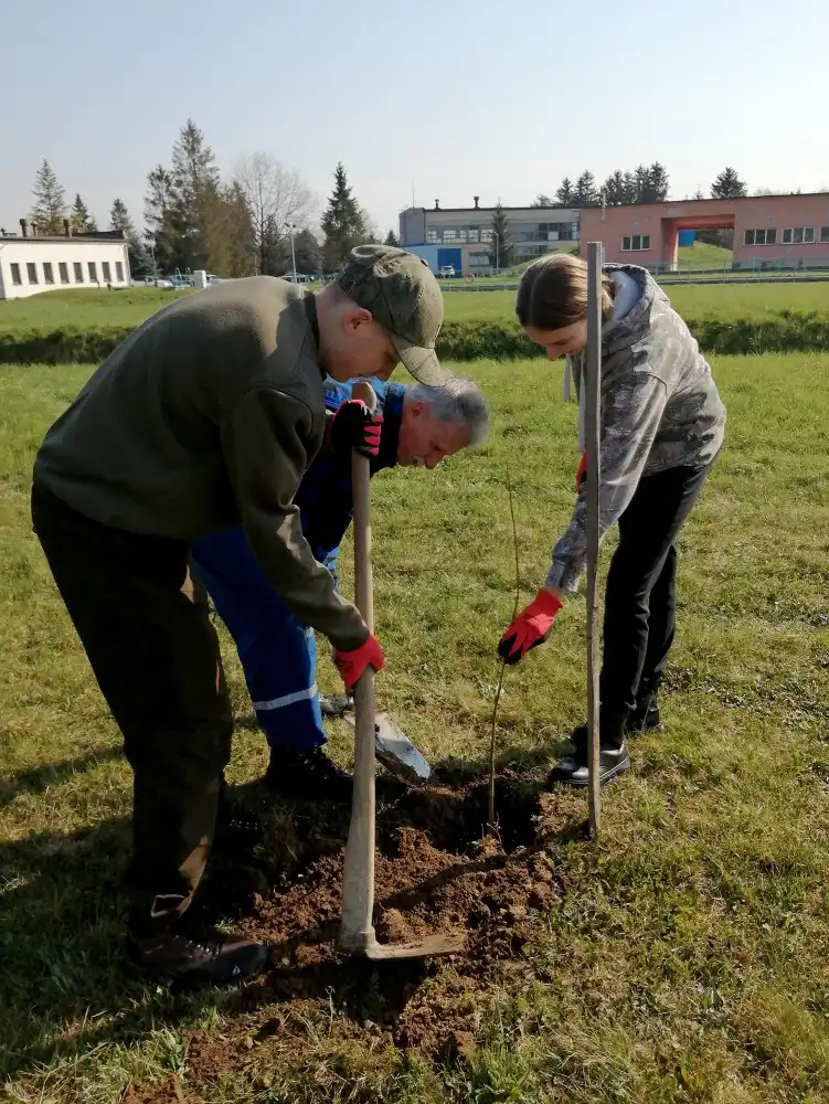 Uczniowie ZS w Starym Sączu włączyli się w akcję sadzenia drzew na terenie Zakładu Uzdatniania Wody Sądeckich Wodociągów w Świniarsku