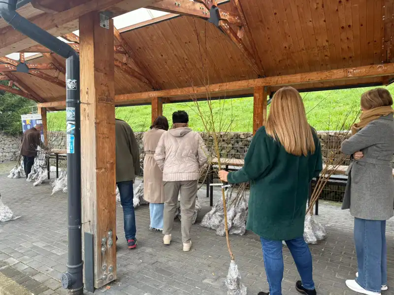 Drzewko za baterie. Gmina Moszczenica stawia na ekologię