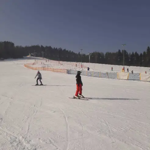 Studenci Instytutu Kultury Fizycznej odbywają zajęcia praktyczne na obozie sportowym
