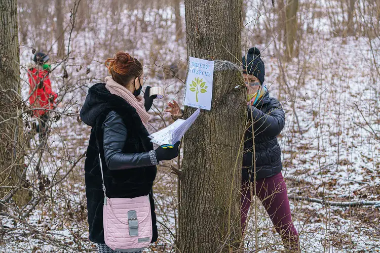 Mieszkańcy osiedla Nawojowska walczą o park. Nie chcą wycinki ponad stu drzew