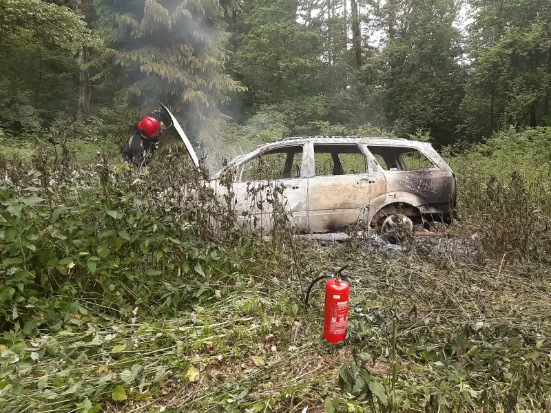 Nowy Sącz: Na ul. Dożynkowej spłonęła osobówka