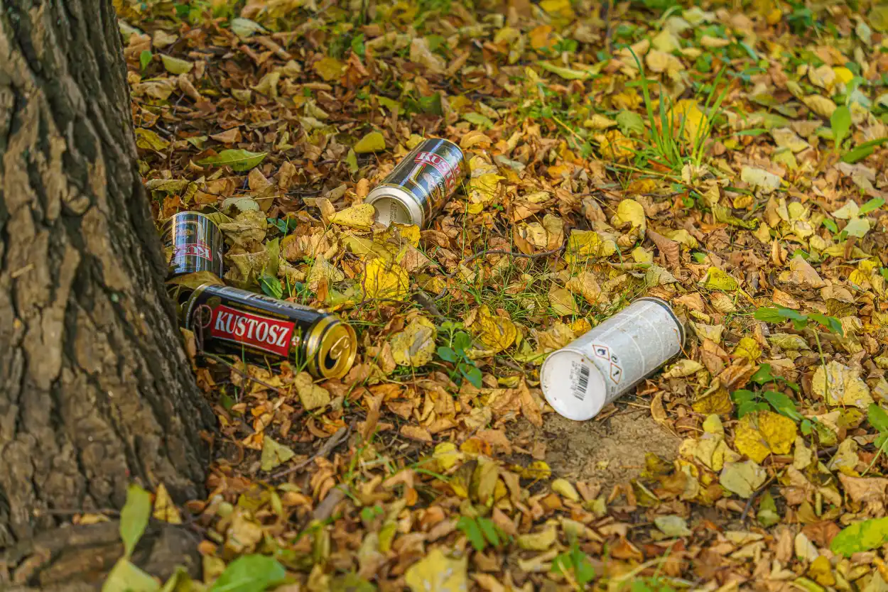 23 października sprzątanie Starego Cmentarza w Nowym Sączu. Wolontariusze zachęcają do wzięcia udziału w akcji