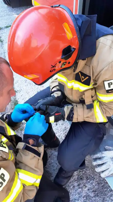 Nietypowa interwencja strażaków. Ratowali uwięzionego ptaka