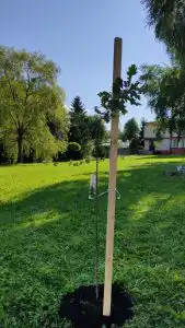 Projekt LIFE-IP EKOMAŁOPOLSKA w powiecie limanowskim
