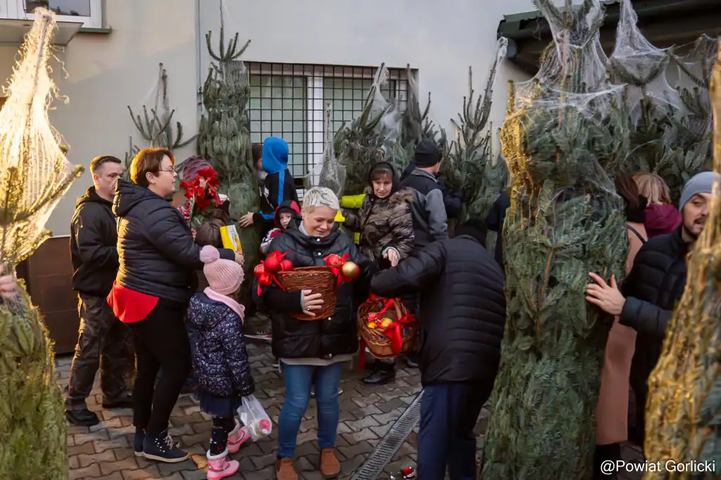 Choinka od Starosty Gorlickiego. 200 drzewek dla mieszkańców