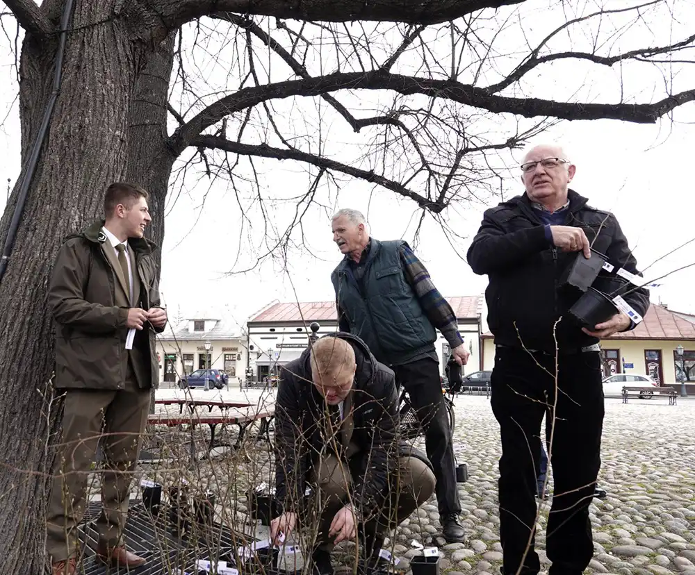 I Małopolski Dzień dla Klimatu na starosądeckim rynku: Sadzonki drzewek rozeszły się jak ciepłe bułeczki