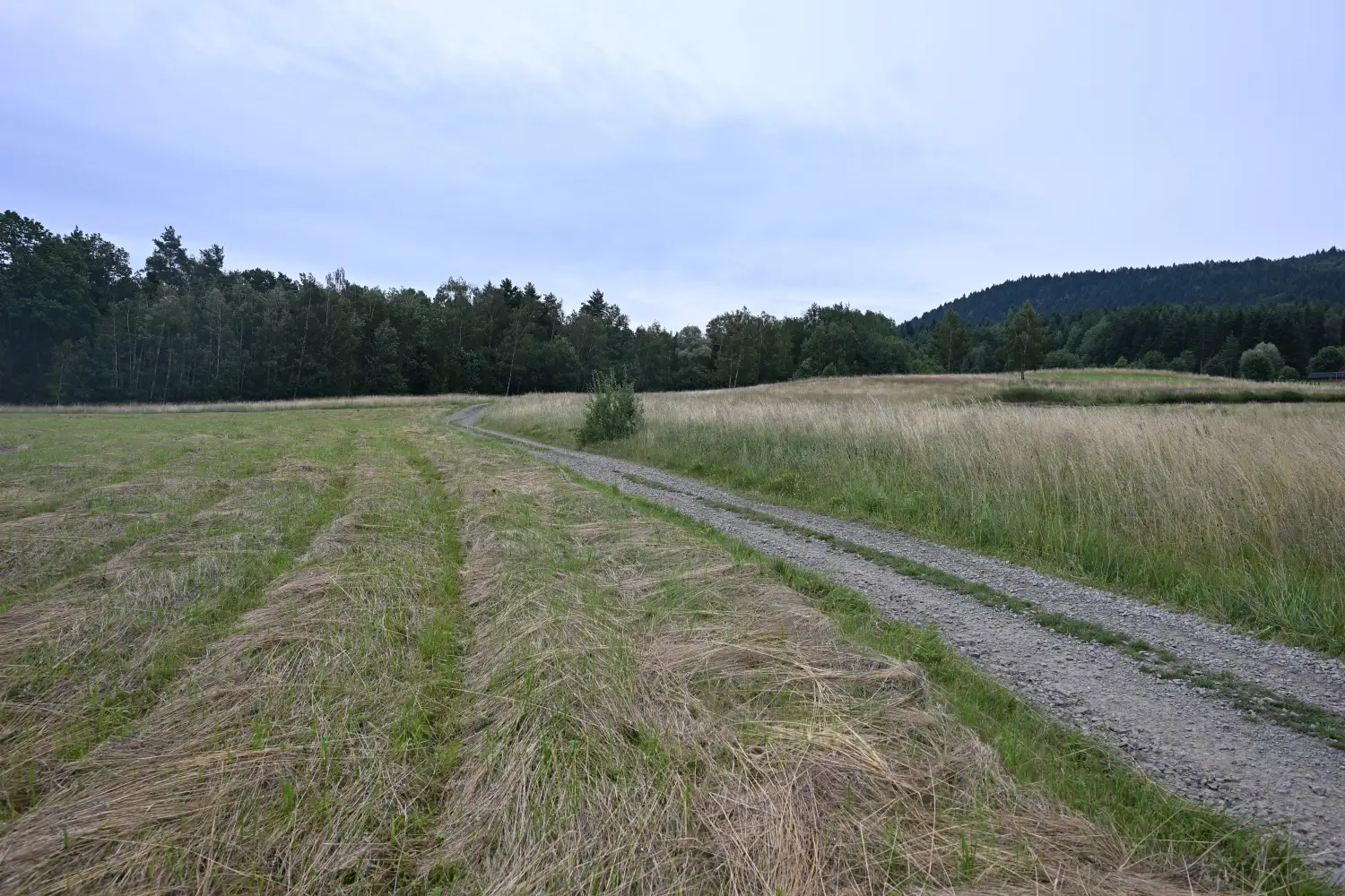 Drogowcy nie zwalniają tempa. Trwa modernizacja dróg w gminie Limanowa