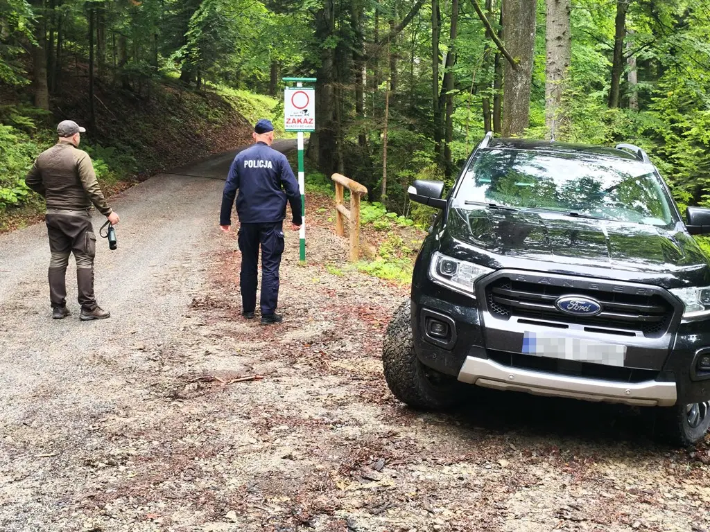 Mundurowi i leśnicy patrolowali tereny leśne. Działania w Tyliczu, Muszynce i Powroźniku