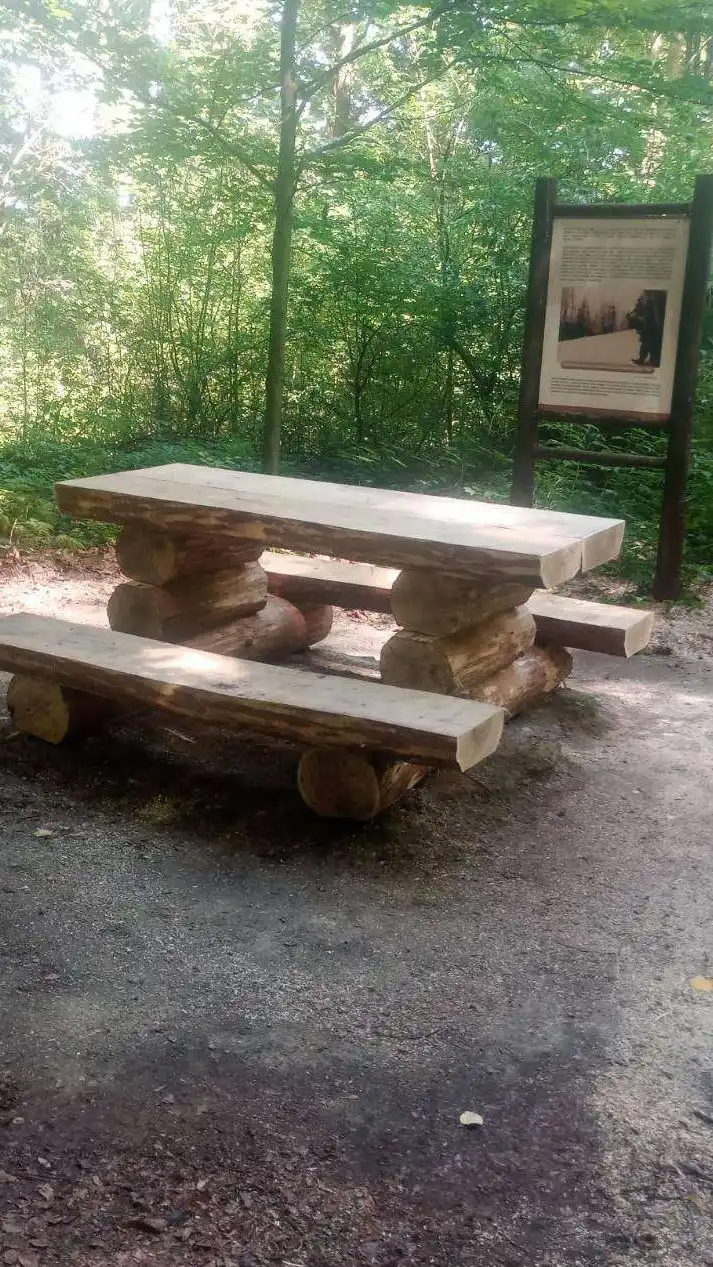 Nowy Sącz: trwa rewitalizacja Lasku Falkowskiego