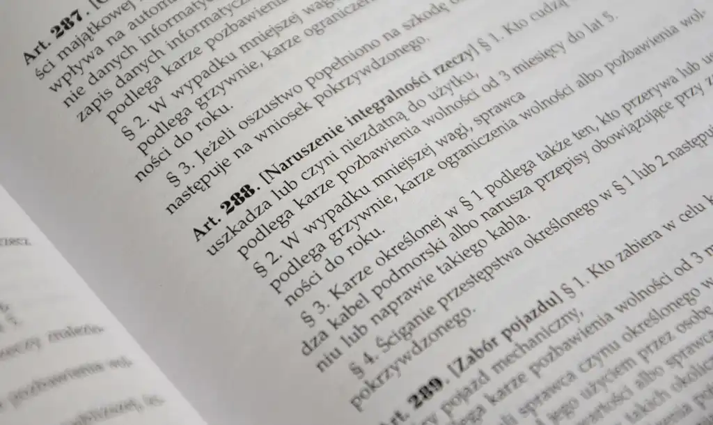 Nowy Sącz: Ma 18 lat i blisko 40 zarzutów na koncie. Co takiego przeskrobał?